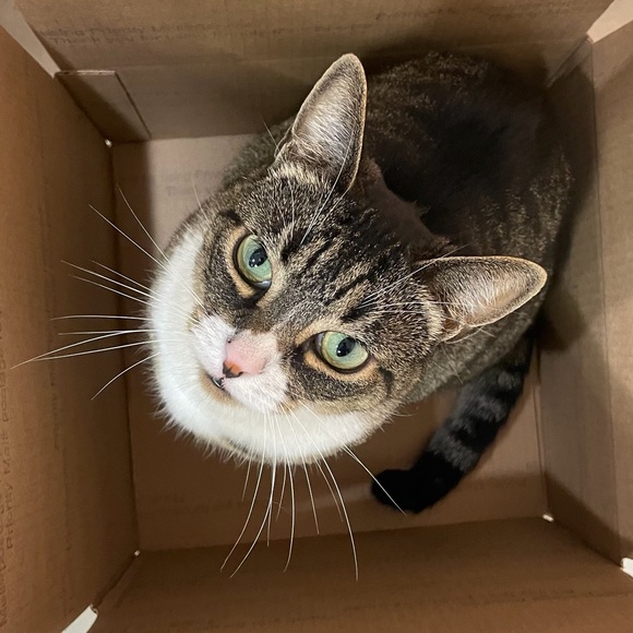 Meet your Posher, Barbara - Picture 4 of 5